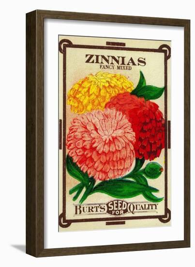 Zinnias Seed Packet-Lantern Press-Framed Art Print