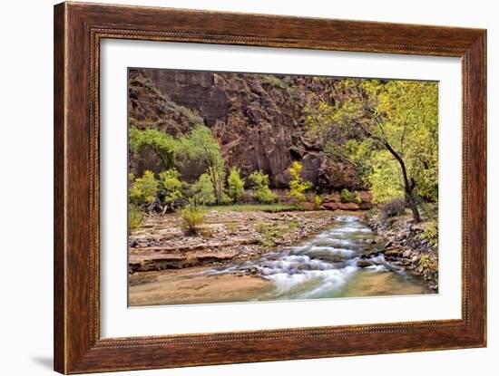 Zion Autumn I-Danny Head-Framed Photographic Print