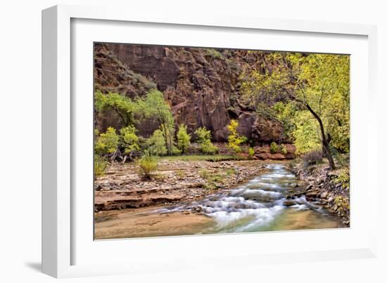 Zion Autumn I-Danny Head-Framed Photographic Print