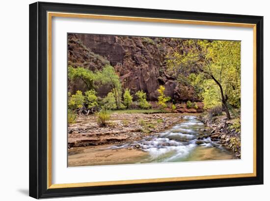 Zion Autumn I-Danny Head-Framed Photographic Print