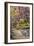 Zion Autumn II-Danny Head-Framed Photographic Print