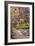 Zion Autumn II-Danny Head-Framed Photographic Print