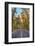 Zion Canyon Road Zion National Park, Utah-Alan Majchrowicz-Framed Photographic Print