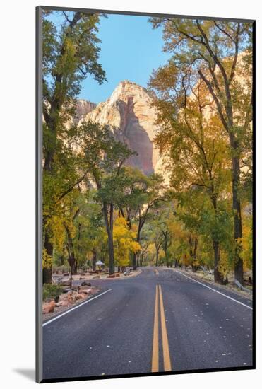 Zion Canyon Road Zion National Park, Utah-Alan Majchrowicz-Mounted Photographic Print