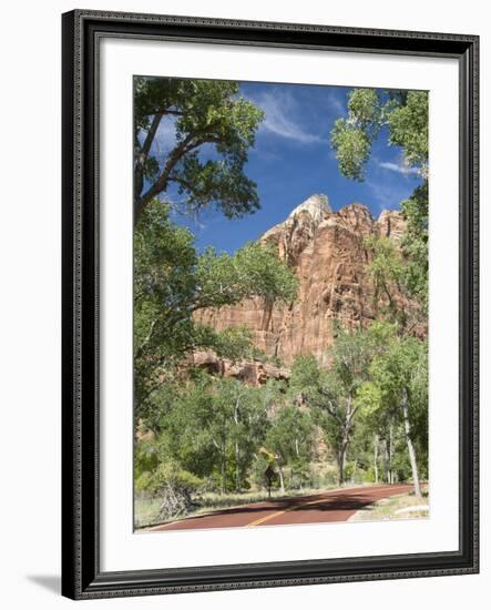 Zion Canyon Scenic Drive, Near Zion Lodge, Zion National Park, Utah, United States of America, Nort-Richard Maschmeyer-Framed Photographic Print