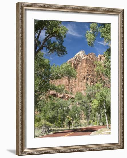 Zion Canyon Scenic Drive, Near Zion Lodge, Zion National Park, Utah, United States of America, Nort-Richard Maschmeyer-Framed Photographic Print