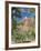 Zion Canyon Scenic Drive, Near Zion Lodge, Zion National Park, Utah, United States of America, Nort-Richard Maschmeyer-Framed Photographic Print