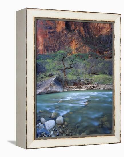 Zion Canyon, Zion National Park, Utah, USA-Scott T^ Smith-Framed Premier Image Canvas