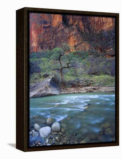 Zion Canyon, Zion National Park, Utah, USA-Scott T^ Smith-Framed Premier Image Canvas