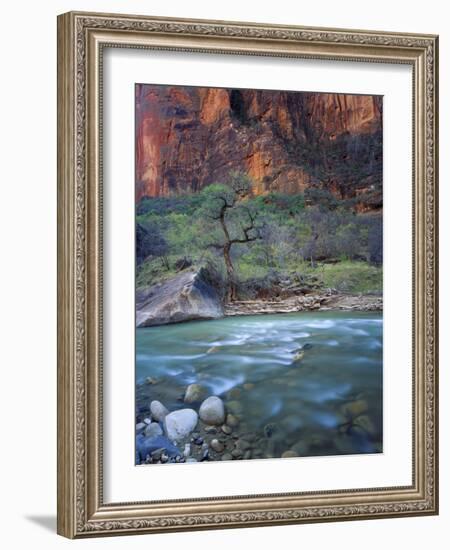 Zion Canyon, Zion National Park, Utah, USA-Scott T^ Smith-Framed Photographic Print