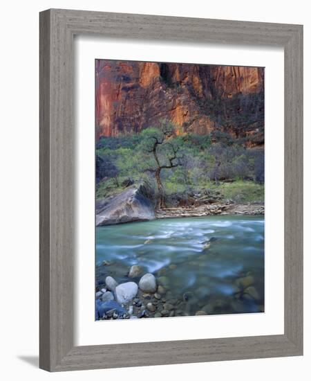 Zion Canyon, Zion National Park, Utah, USA-Scott T^ Smith-Framed Photographic Print