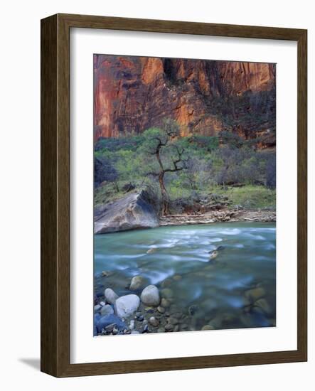 Zion Canyon, Zion National Park, Utah, USA-Scott T^ Smith-Framed Photographic Print