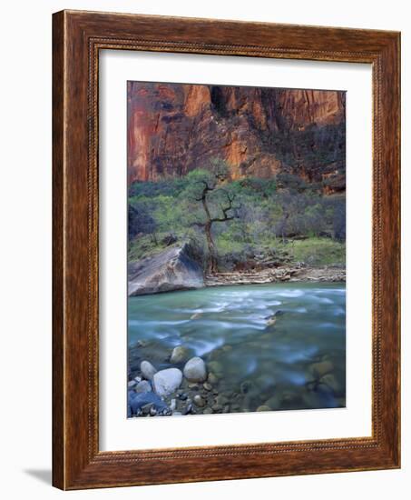 Zion Canyon, Zion National Park, Utah, USA-Scott T^ Smith-Framed Photographic Print