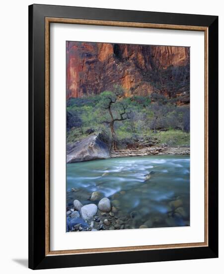 Zion Canyon, Zion National Park, Utah, USA-Scott T^ Smith-Framed Photographic Print