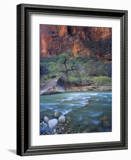 Zion Canyon, Zion National Park, Utah, USA-Scott T^ Smith-Framed Photographic Print