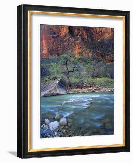 Zion Canyon, Zion National Park, Utah, USA-Scott T^ Smith-Framed Photographic Print