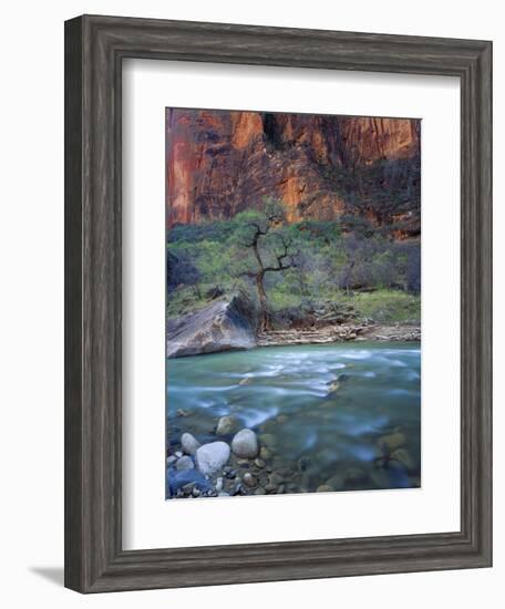 Zion Canyon, Zion National Park, Utah, USA-Scott T^ Smith-Framed Photographic Print