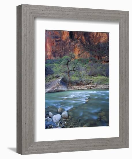 Zion Canyon, Zion National Park, Utah, USA-Scott T^ Smith-Framed Photographic Print