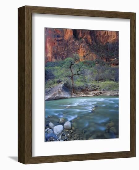 Zion Canyon, Zion National Park, Utah, USA-Scott T^ Smith-Framed Photographic Print