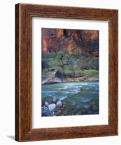 Zion Canyon, Zion National Park, Utah, USA-Scott T^ Smith-Framed Photographic Print