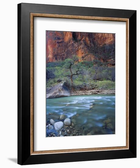 Zion Canyon, Zion National Park, Utah, USA-Scott T^ Smith-Framed Photographic Print