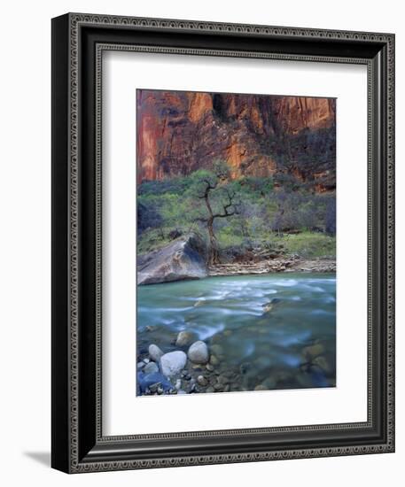 Zion Canyon, Zion National Park, Utah, USA-Scott T^ Smith-Framed Photographic Print