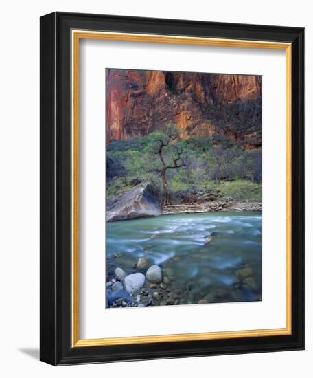 Zion Canyon, Zion National Park, Utah, USA-Scott T^ Smith-Framed Photographic Print