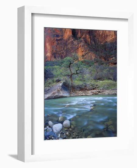 Zion Canyon, Zion National Park, Utah, USA-Scott T^ Smith-Framed Premium Photographic Print