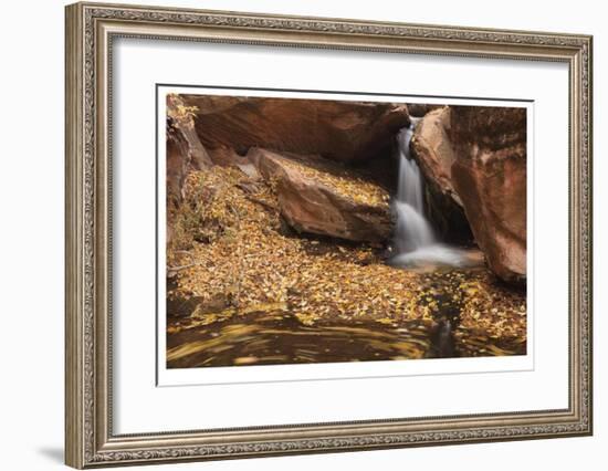 Zion National Park I-Donald Paulson-Framed Giclee Print