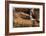 Zion National Park I-Donald Paulson-Framed Giclee Print