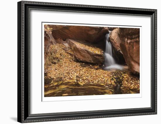 Zion National Park I-Donald Paulson-Framed Giclee Print