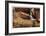 Zion National Park I-Donald Paulson-Framed Giclee Print