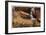 Zion National Park I-Donald Paulson-Framed Giclee Print