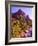 Zion National Park I-Ike Leahy-Framed Photographic Print