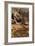 Zion National Park II-Donald Paulson-Framed Giclee Print