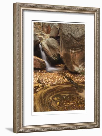 Zion National Park II-Donald Paulson-Framed Giclee Print