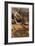 Zion National Park II-Donald Paulson-Framed Giclee Print