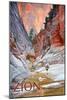 Zion National Park - Slot Canyon-Lantern Press-Mounted Art Print