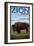 Zion National Park, UT - Bison-Lantern Press-Framed Art Print