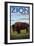 Zion National Park, UT - Bison-Lantern Press-Framed Art Print