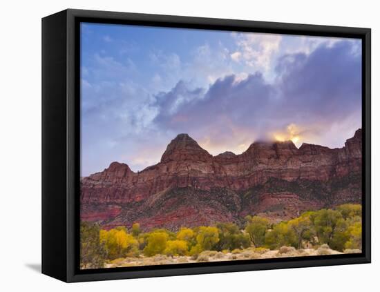 Zion National Park, Utah, USA-Cathy & Gordon Illg-Framed Premier Image Canvas