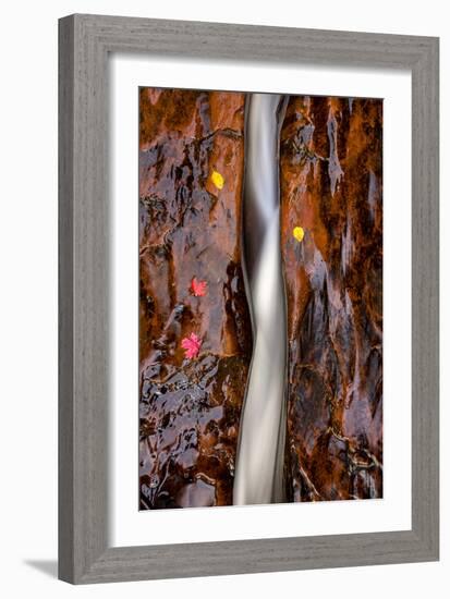 Zion National Park, Utah: Water Flowing Through A Fissure In Red Rock-Ian Shive-Framed Photographic Print