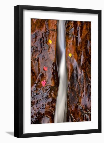 Zion National Park, Utah: Water Flowing Through A Fissure In Red Rock-Ian Shive-Framed Photographic Print