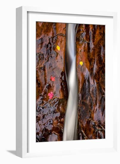 Zion National Park, Utah: Water Flowing Through A Fissure In Red Rock-Ian Shive-Framed Photographic Print