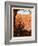 Zion National Park: View From The Top-Anderson Design Group-Framed Art Print