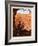 Zion National Park: View From The Top-Anderson Design Group-Framed Art Print