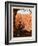 Zion National Park: View From The Top-Anderson Design Group-Framed Art Print