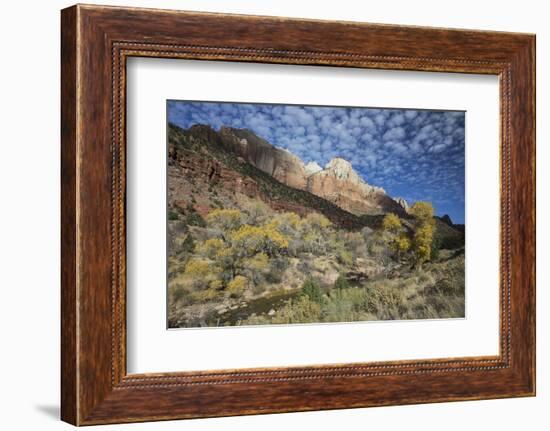 Zion National Park-Ken Archer-Framed Photographic Print