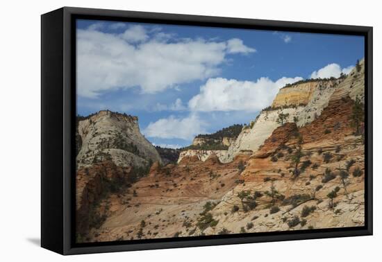 Zion National Park-Ken Archer-Framed Premier Image Canvas