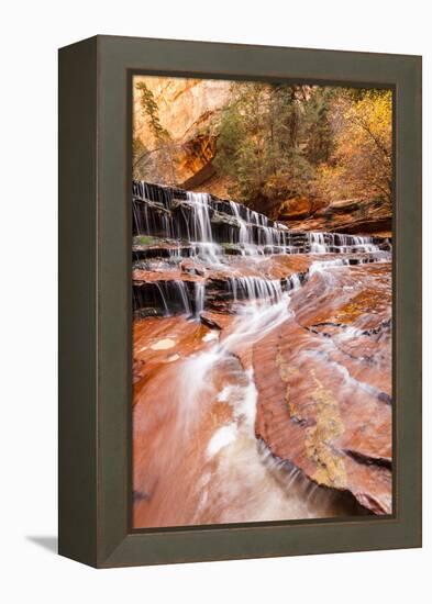 Zion NP, Utah, USA: Archangel Waterfall (Cascades) River Forks Off North Creek Along Hike To Subway-Axel Brunst-Framed Premier Image Canvas